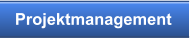 Projektmanagement