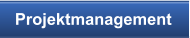 Projektmanagement